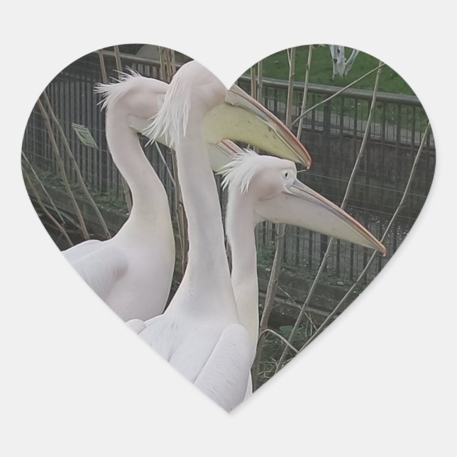 Herons Heart Sticker (Front)
