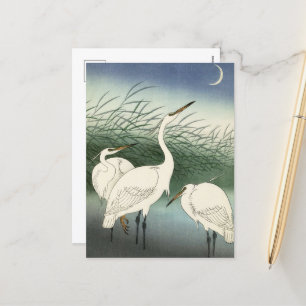 Herons in Shallow Water by Ohara Koson Holiday Postcard