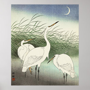 Herons in Shallow Water by Ohara Koson Poster