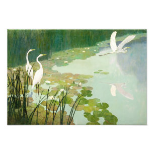 Herons in Summer by Newell Convers Wyeth Photo Print