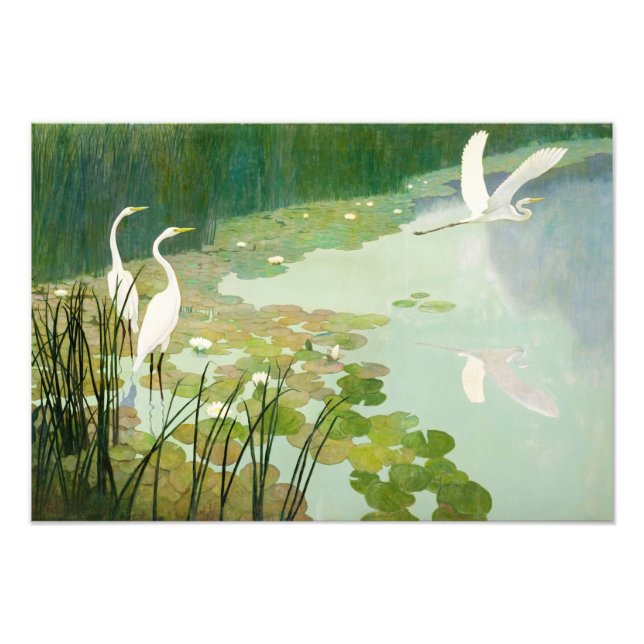 Herons in Summer by Newell Convers Wyeth Photo Print (Front)