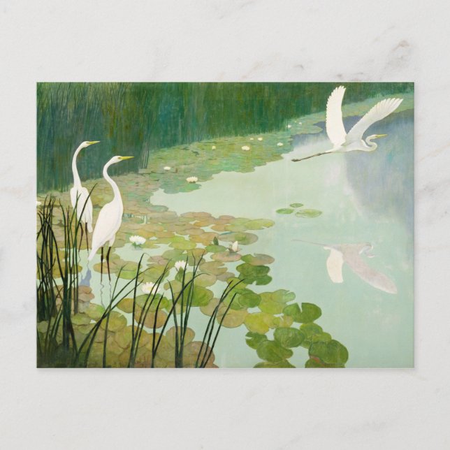Herons in Summer by Newell Convers Wyeth Postcard (Front)