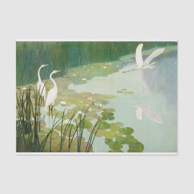 Herons in Summer by Newell Convers Wyeth Tissue Paper (Front)