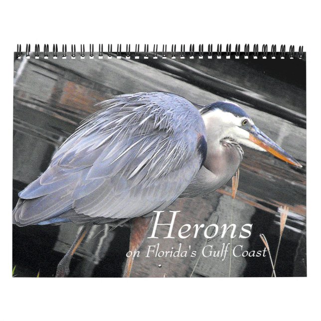 Herons Large and Small Calendar (Cover)