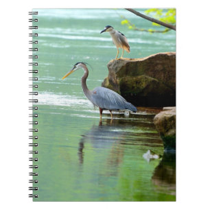 Herons Notebook