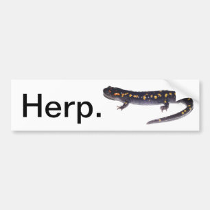 Herp. bumper sticker (salamander version)