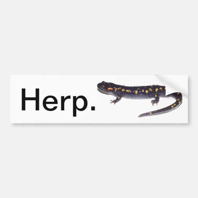 Herp. bumper sticker (salamander version) (Front)