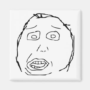 Herp Derp Magnet
