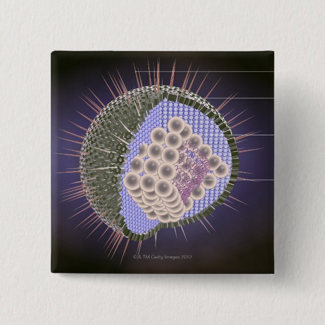 Herpes Virus Structure 15 Cm Square Badge (Front)