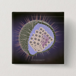 Herpes Virus Structure 15 Cm Square Badge