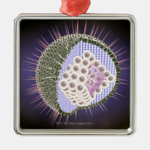 Herpes Virus Structure 2 Metal Tree Decoration