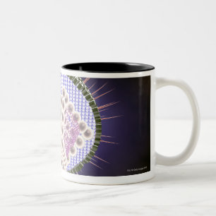 Herpes Virus Structure 2 Two-Tone Coffee Mug