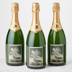 Herring Gull from John Audubon's Birds of America Sparkling Wine Label