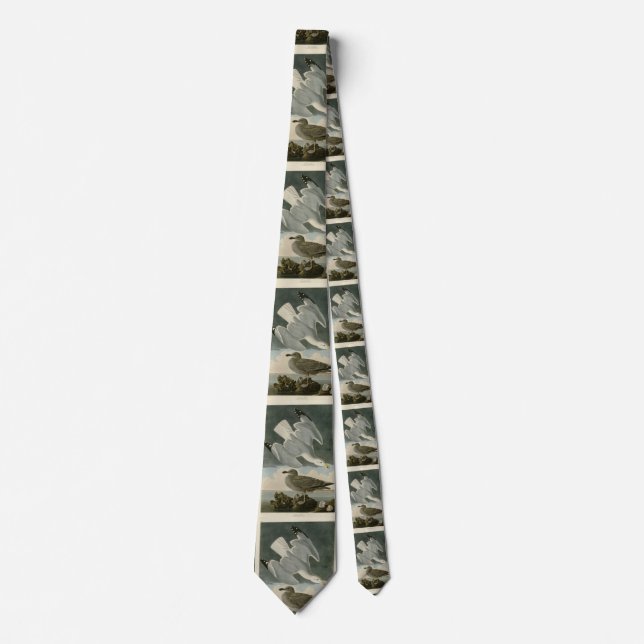 Herring Gull from John Audubon's Birds of America Tie (Front)