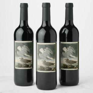 Herring Gull from John Audubon's Birds of America Wine Label