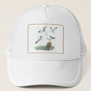 Herring Gull Hat
