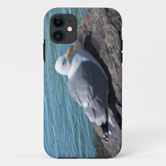 Herring Gull on Rock Jetty Case-Mate iPhone Case (Back)