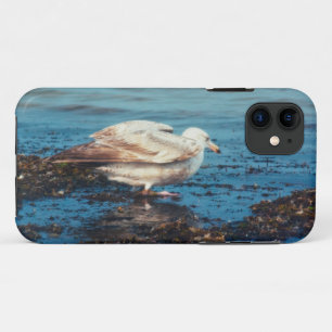 Herring Gull P1046 iPhone 11 Case