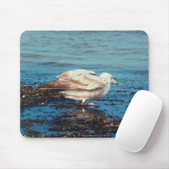 Herring Gull P1046 Mouse Mat (With Mouse)