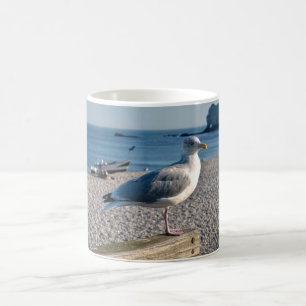 Herring gull perched on a wooden fence    coffee mug