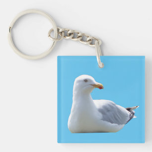 Herring Gull Sunbathing Key Ring