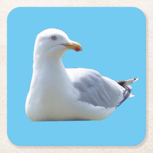 Herring Gull SunbathingScene Coastal Nature Art Square Paper Coaster
