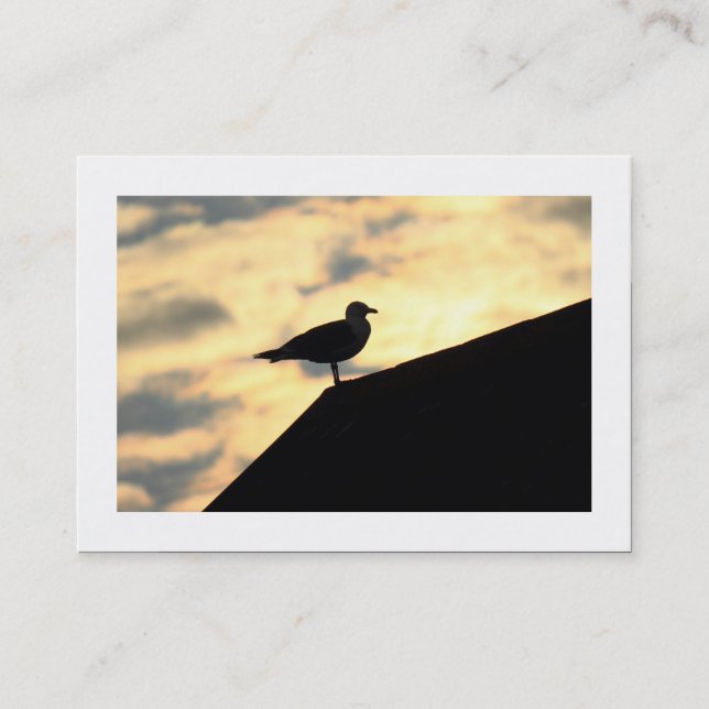 Herring Gull Sunset (Bordered) Business Card (Front)