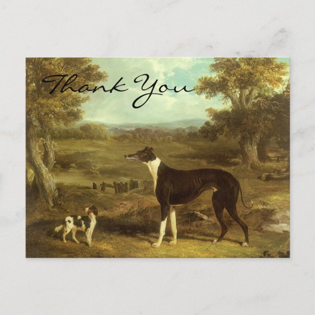 Herring's Greyhound and Spaniel; Doctor Fop Postcard (Front)