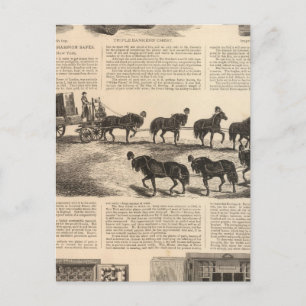 Herring's Patent Champion Safes Postcard