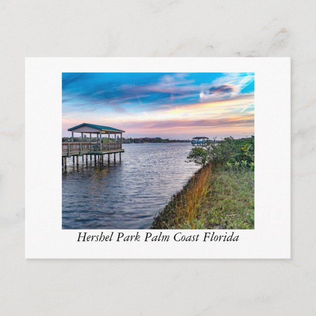 Hershel Park Palm Coast Florida Postcard (Front)