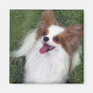 Hershey Kiss Hero Kennel Merchandise Magnet