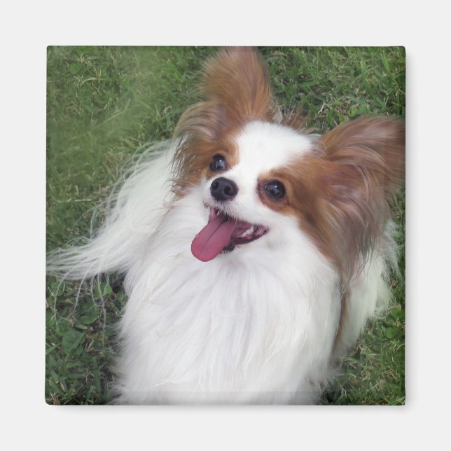 Hershey Kiss Hero Kennel Merchandise Magnet (Front)