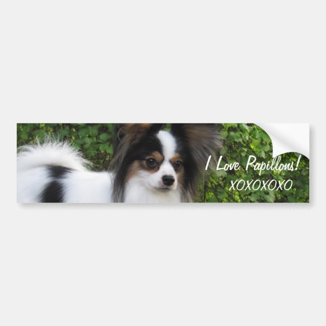 Hershey Kiss Hero Kennel Sticker features Giorgio (Front)