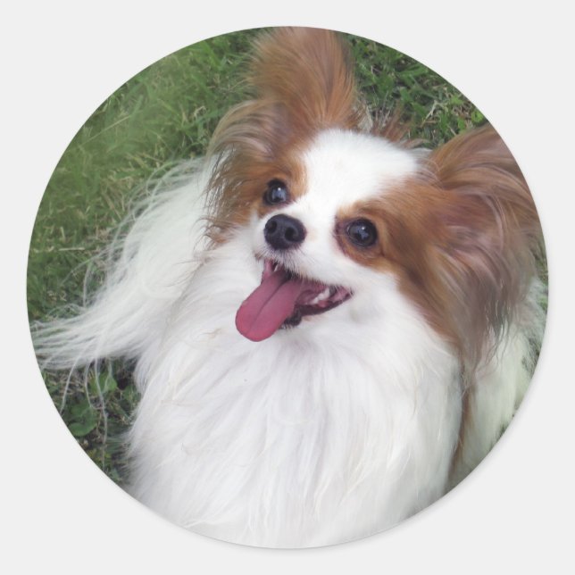 Hershey Kiss Hero Madi Merchandise Classic Round Sticker (Front)