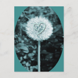 Herz blume heart flower postcard