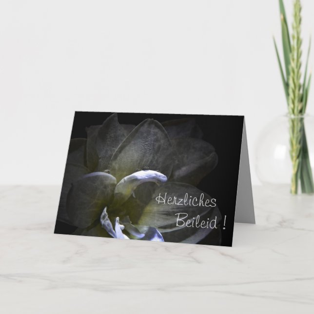 Herzliches Beileid ! Amaryllis Blüte   ... Card (Front)