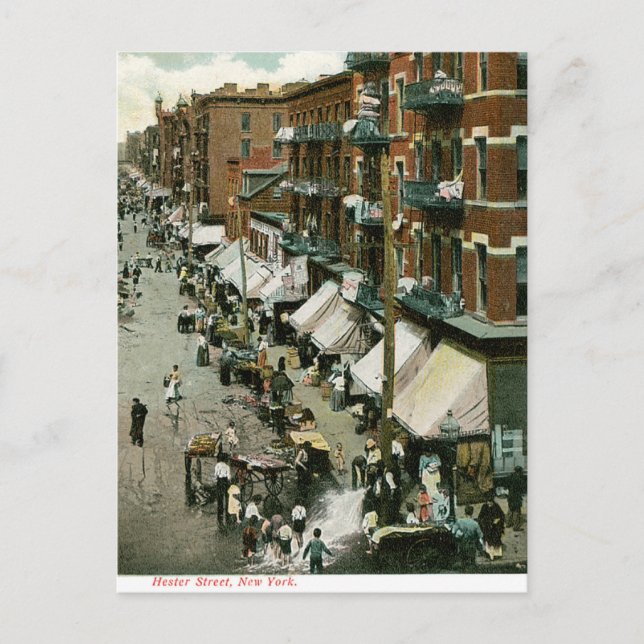 Hester Street New York Post Postcard (Front)