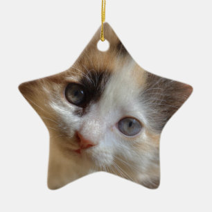 Heterochromia Calico Kitten Ceramic Tree Decoration