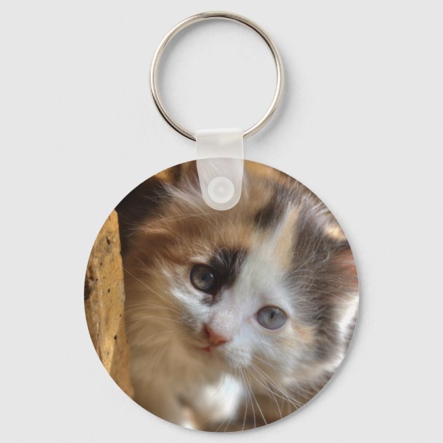 Heterochromia Calico Kitten Key Ring (Front)