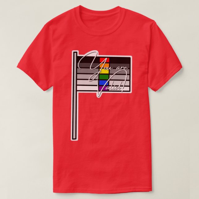Heteroflexible Pride Youre Valid Flag T-Shirt (Design Front)