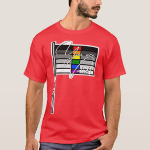 Heteroflexible Pride Youre Valid Flag T-Shirt