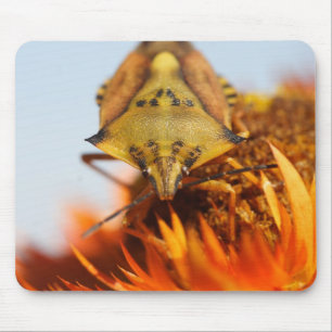 Heteroptera Mouse Mat