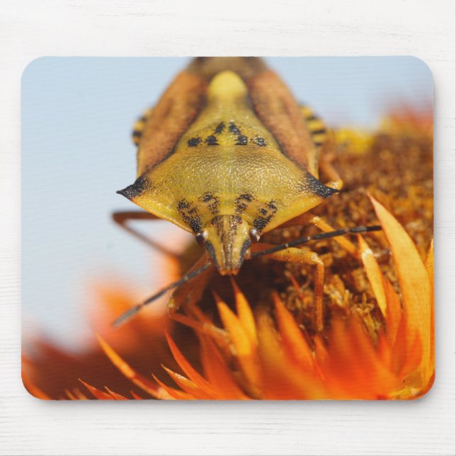 Heteroptera Mouse Mat (Front)