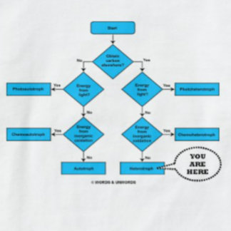 Heterotroph Flow Chart You Are Here Biology Humour T-Shirt