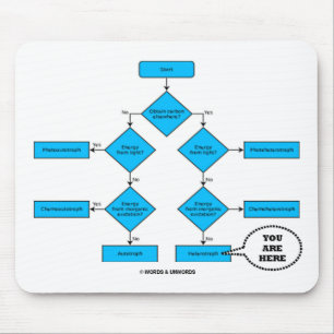 Heterotroph Flow Chart - You Are Here Mouse Mat