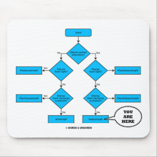 Heterotroph Flow Chart - You Are Here Mouse Mat