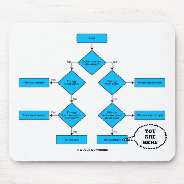 Heterotroph Flow Chart - You Are Here Mouse Mat (Front)