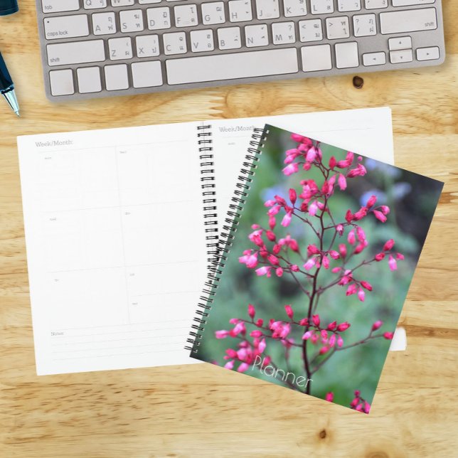 Heuchera Coral Bells Floral Planner (In Situ)