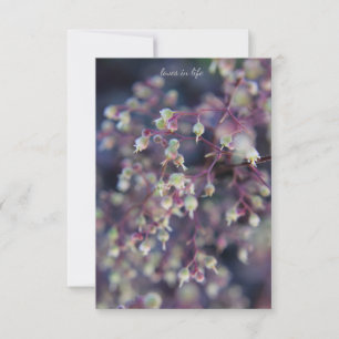 Heuchera Flower Card