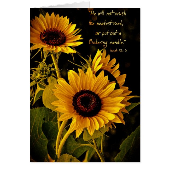 HewillnotcrushtheweakestreedZazzle (Front)